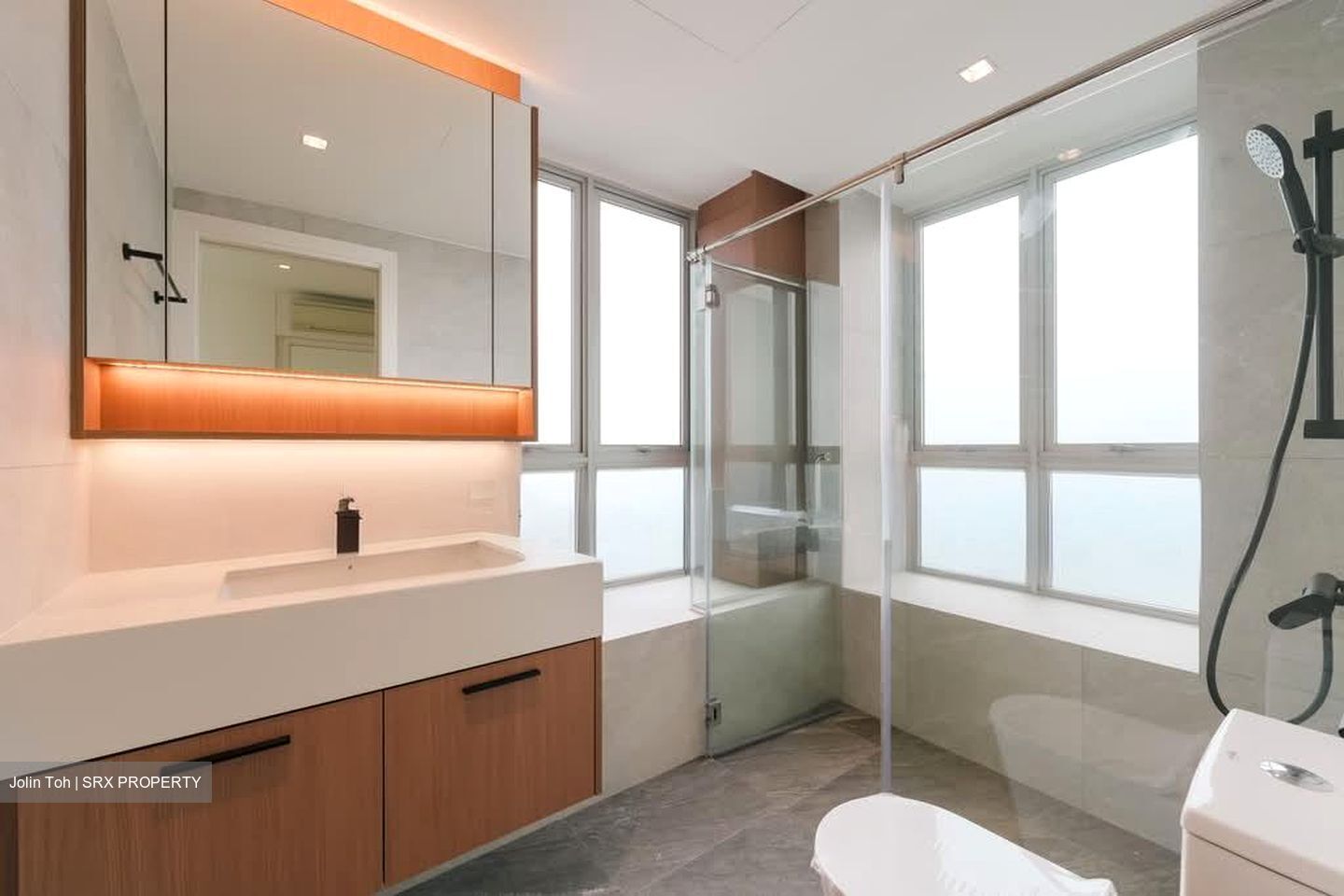 The Parc Condominium (D5), Condominium #591347871